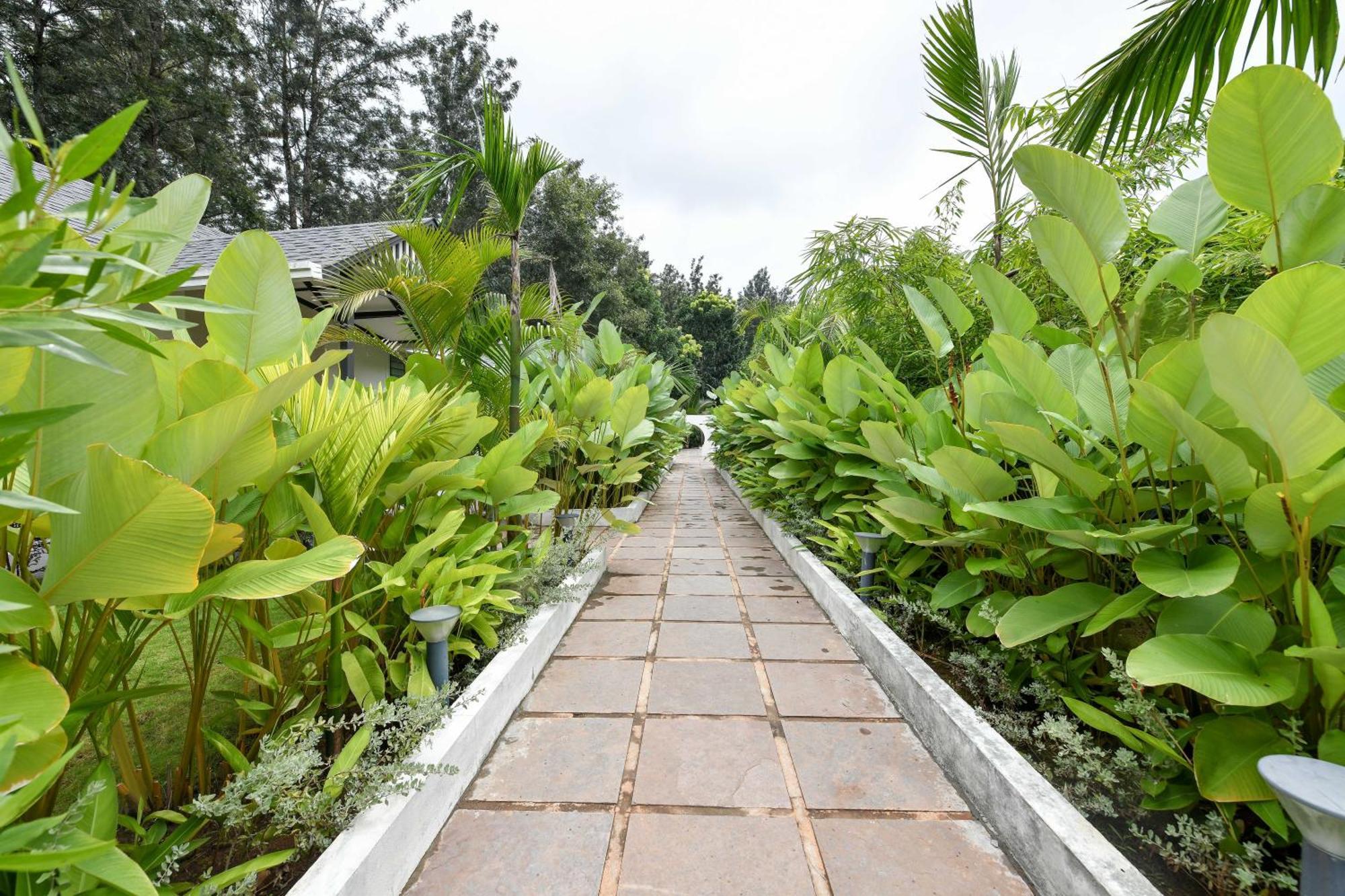 Inventree Aranya Resort & Spa Madikeri Buitenkant foto